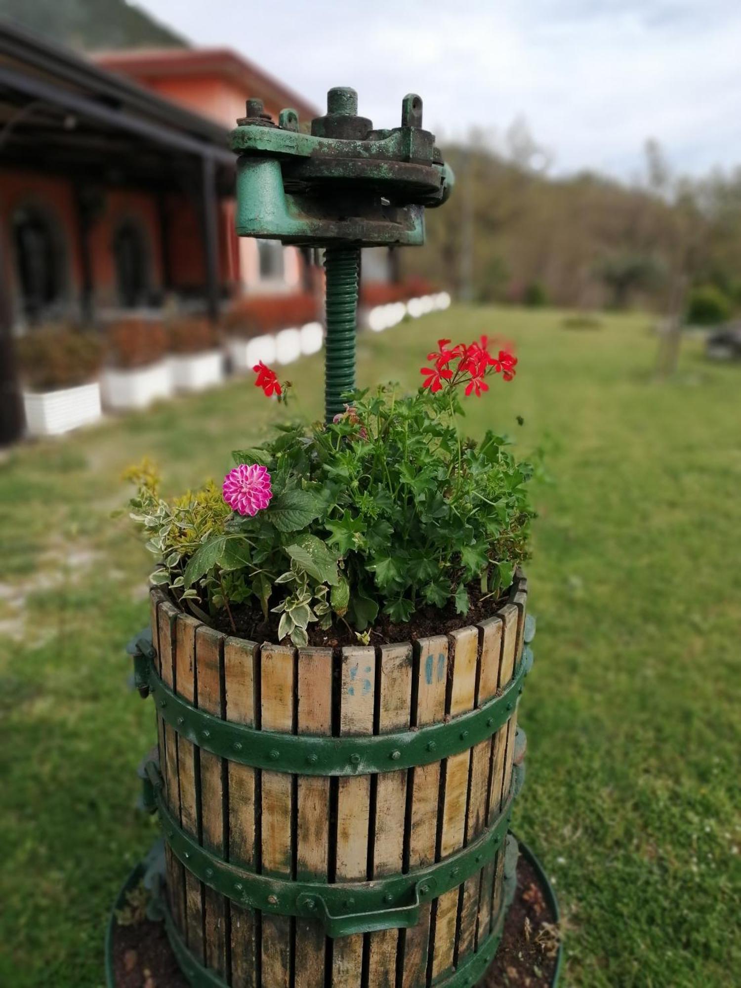 Salisu Country House Mignano Monte Lungo Exterior foto